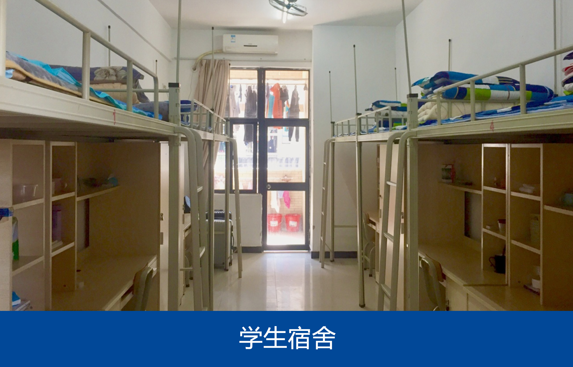 美丽校园006